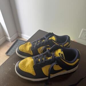 Nike Women's Yellow and Multi Trainer